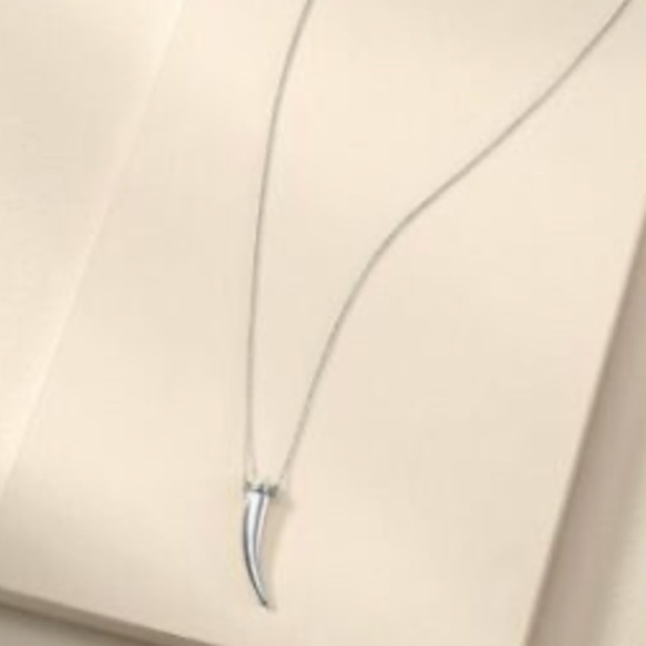 NWOT Stella & Dot Delicate Horn Necklace - silver - Picture 2 of 3